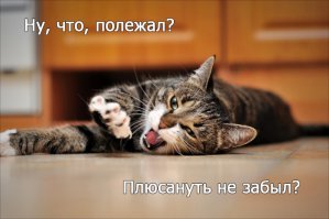 21 жизненная открытка для отличного настроения 