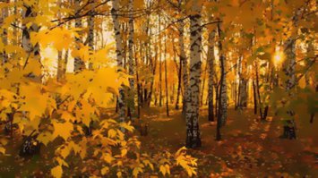 Листья пожухли и пожелтели.
Лето прошло.
Все те цветы, отцвести не успевшие,
Ветром смело.
Птицы кучкуются и собираются
К югу лететь,
В синее небо они поднимаются
Песню допеть.

припев:

Песню прощальную, птиц улетающих,
Слышишь мой друг.
Песню прощальную, птиц улетающих,
Ты не забудь.
Птицам прописана зимняя спячка
В тёплых краях.
Мы ж после дембеля к матери милой
Поедем, друзья.

Вот соберёшь ты однажды вещички
В свой чемодан.
И за воротами девушка скажет:
Прощай, мальчуган!".
Ты улыбнёшься и ласково в щёчку
Чмокнешь её,
Скажешь, что свидеться, может быть, случай
Бог даст ещё.

припев:

Песню прощальную, птиц улетающих,
Слышишь мой друг.
Песню прощальную, птиц улетающих,
Ты не забудь.
Птицам прописана зимняя спячка
В тёплых краях.
Мы ж после дембеля к матери милой
Поедем, друзья.

Дембель как дембель, будет, когда-то
Это закон.
Мы молодого "щегла", что приходит,
"Духом" зовём.
Ночи бессонные, службу в наряде,
Всё его ждёт.
Но как бы ни было трудно, к нему
Тоже дембель придёт.

припев:

Песню прощальную, птиц улетающих,
Слышишь мой друг.
Песню прощальную, птиц улетающих,
Ты не забудь.
Птицам прописана зимняя спячка
В тёплых краях.
Мы ж после дембеля к матери милой
Поедем, друзья.

1992-93год