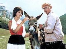 Да, ослик (точнее, ослица) тоже умер(ла) - в 2007 году...
Звали ее Люсей и прожила она целых 59 лет.
Кстати, она же снималась в "9-й роте" и в сериале "Спецназ".