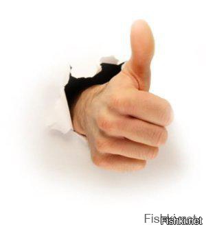 Дорогая Америка!