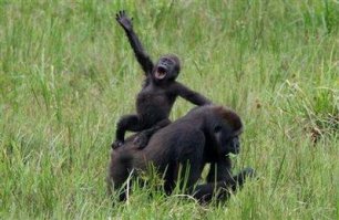 Фотоподборка за 07.07.2015