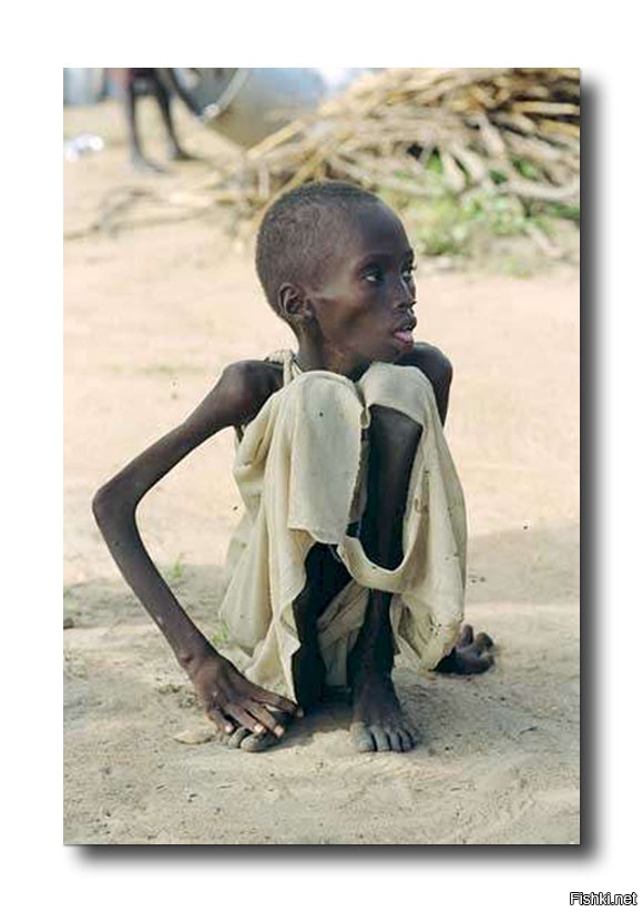 Все правильно. Профессия у него такая. Вот еще несколько его снимков. Как раз эти фото позволили бОльшему количеству людей узнать о проблеме. И думаю обязательно нашлись желающие помочь. Так что писать о том что его фото зло, как-то однобоко. И пойду лучше пофоткаю - это наверно не про него.
А вот его предсмертная записка 
«Я подавлен… Телефон отключен… Денег на ренту нет… Денег на детей нет… Платить по счетам нечем… Деньги!!! Меня преследуют яркие воспоминания об убийствах, и трупах, и злобе, и боли… картины голодающих или раненых детей, психов, у которых пальцы на курках чешутся, многие из них это полицейские, или же палачи… Если мне повезёт, я встречу Кена»