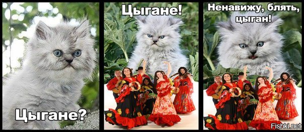  Осторожно, тут цыгане!