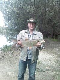 Карасики такие две недели назад, на местном водоеме, а этот "зверь" прошлым летом на Десне)