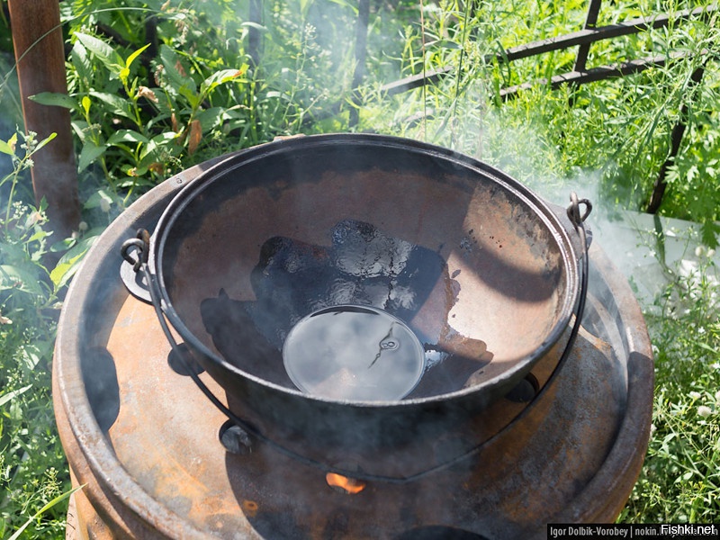 Ну выглядит супер. Но вот присмотрелся я...
я всё понимаю...Но бл я...В ржавый казан? Не ужели нельзя было помыть-очистить? Хоть уминуситесь- но это просто бред. Можно ещё вырыть ямки в земле и есть совочками.