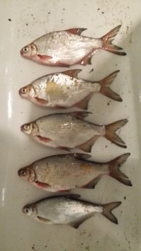 Москва река в районе Жуковского