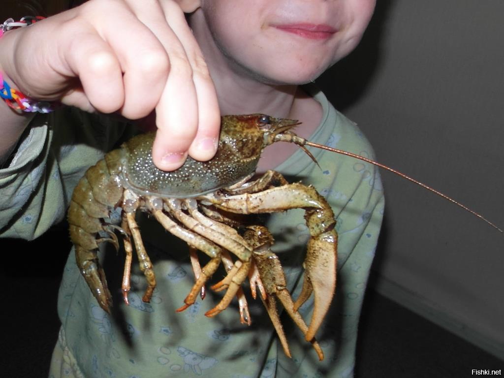 Отчего же так?...