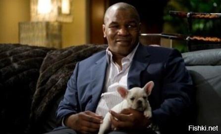 МАЙК ТАЙСОН. Мальчишник в Вегасе