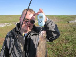 хариус, заполярный край