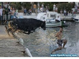 По воде умеют ходить два человека. Второго зовут Хосе. :)