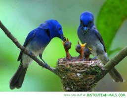 Семья - это круто!