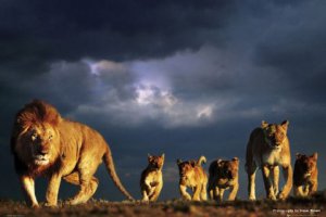 Семья - это круто!