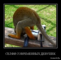 Селфи – смертельная опасность для молодежи