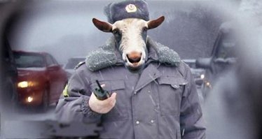 Авария с полицейским УАЗОМ