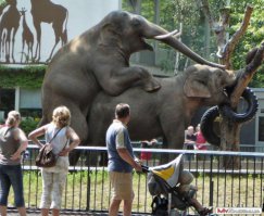 Фото, сделанные в самый подходящий момент под нужным ракурсом