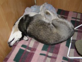 Даже не знаю, это поперек, или вдоль?