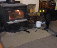 Внучка собаки Баскервилей