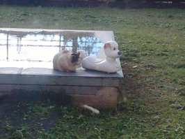 20 фотографий, раскрывающих всю боль одиночества 