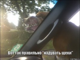 Фотоподборка за 08.07.2015