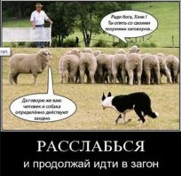 500 000 человек  ( просто интересно есть над чем задуматься )