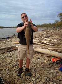 Ну раз тут меряются рыбками- то и я! ага! и я)) Сазан (хрен знает сколько) и жена поймала кетфишку( разновидность сомика) ,ну и итог. То чудо -выпустил... Мимикрирую под местного=) фото-отпустил
Это в Канаде