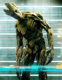 Шутки природы