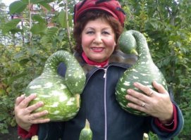 Шутки природы