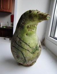 Шутки природы