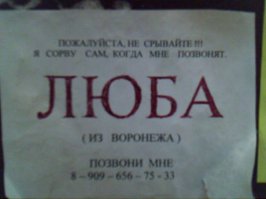 30 шедевральных объявлений из наших подъездов
