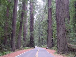 20 снимков, к которым нечего добавить