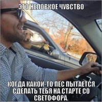 Фото, сделанные в самый подходящий момент под нужным ракурсом
