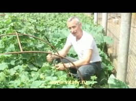 надеюсь он не настолько напомнил ей мужа)))))