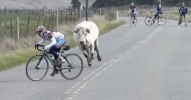 Фото, сделанные в самый подходящий момент под нужным ракурсом
