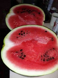 у нас в туркмении тоже ничё так арбузики! вкусные! сладкие! особенно те что в песках выращивают!