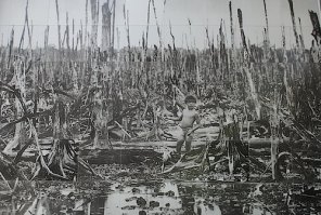 А во Вьетнаме, в Сайгоне, есть Музей жертв войны, или Дом для показа военных преступлений американского империализма и марионеточного правительства южного Вьетнама. Вот эти, лишившиеся жетончиков, поливали напалмом и агентом оранж, бомбили мирное население, выжигая целые деревни. За что? Зачем полезли? Кто вас звал? Так что мне их не жалко.