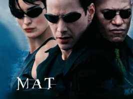 Любопытные факты о мате