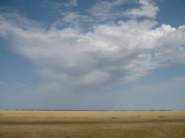 Омские степи