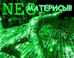 Любопытные факты о мате