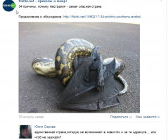 Смешные комментарии из социальных сетей 08.07.15