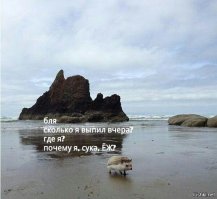 Смешные комментарии из социальных сетей 08.07.15