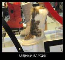 25 стильных способов украсить себя котиками 