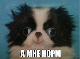 Поспешишь, людей насмешишь