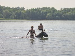 10 лет назад ходила на конюшню в пригороде. там был конек - как раз орловский рысак. был он серый в яблоках, немного угловатый. но очень добрый, без свойственной большинству лошадей привычки испытывать седока на вшивость и навязывать свои правила. на нем можно было спокойно выезжать на природу, он не носил, не шарахался от кустов, был уравновешенный. я проходила туда 2 года, и прогулки на нем были для меня светлым чудом. а потом случилось страшное. какие-то сволочи ночью подпалили конюшню, там никого не было. и все лошади, и мой кандагарушка тоже, сгорели или задохнулись в дыму. 
эта рана на сердце так и не затянулась, хоть уж столько лет прошло, каждый раз вспоминая, плачу...
вот такое вот было в жизни чудо, пока не отняли: