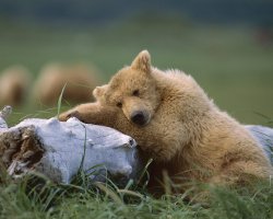 30 картинок, которые сделают вашу сегодняшнюю жизнь лучше