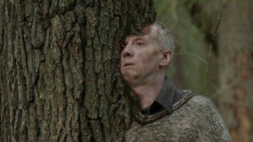 Да, дерево быстро всё "съедает". Бывало задумаешься рядом с деревом, и вот...