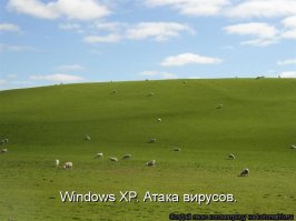 Минимализм в фотографиях