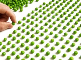 52 идеальные фотографии, которые согреют сердце любому перфекционисту