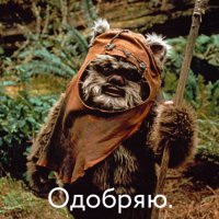 Винтовая лестница, устанавливающаяся на дерево без инструментов
