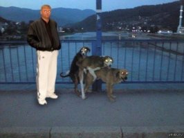 20 популярных фотографий, которые оказались фейком 