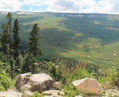 Фотоподборка за 09.07.2015